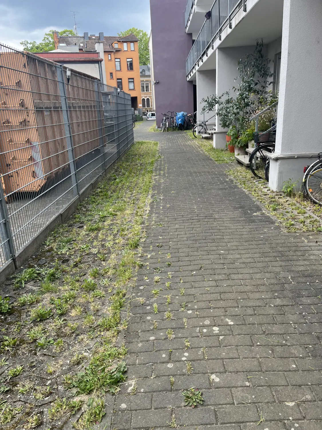 Kamer Dienstleistungen - vor der Reinigung des Fußweges